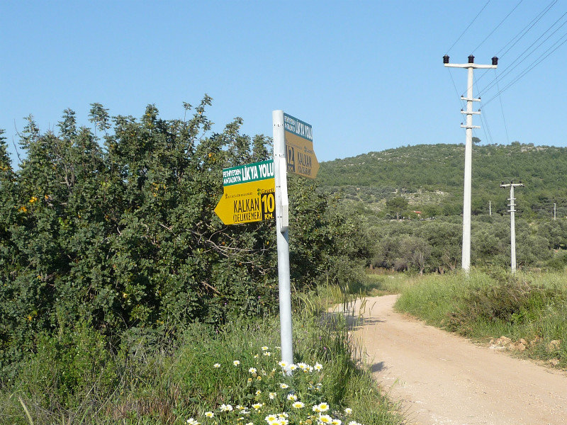Yellow Lycian sign