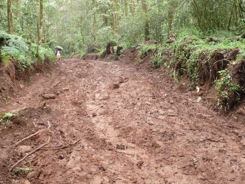 muddy track
