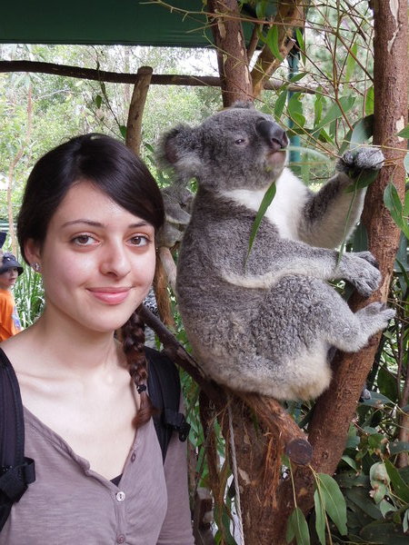 Koala :) 