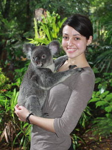einen Koala halten :)