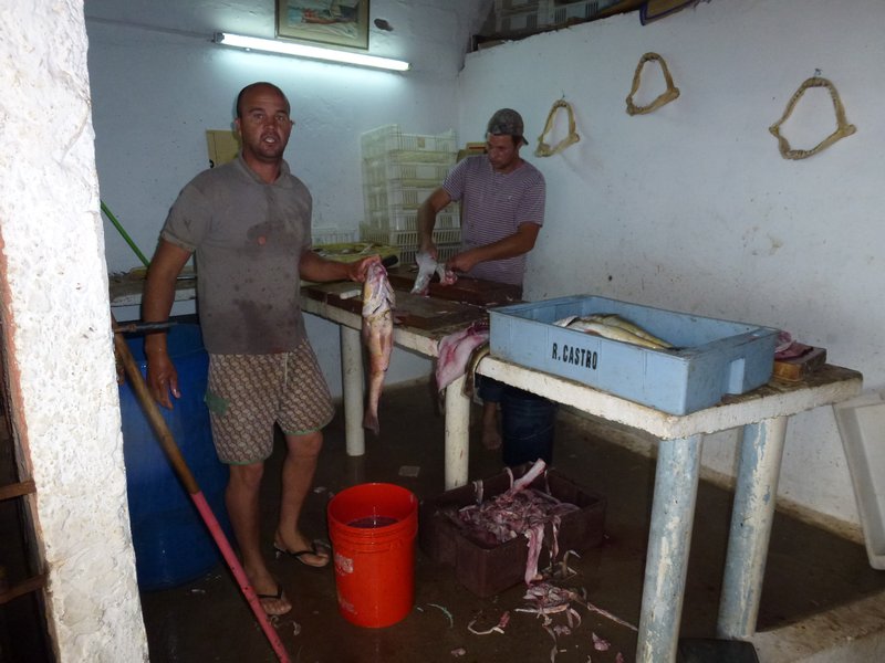 Processing the fish for sale
