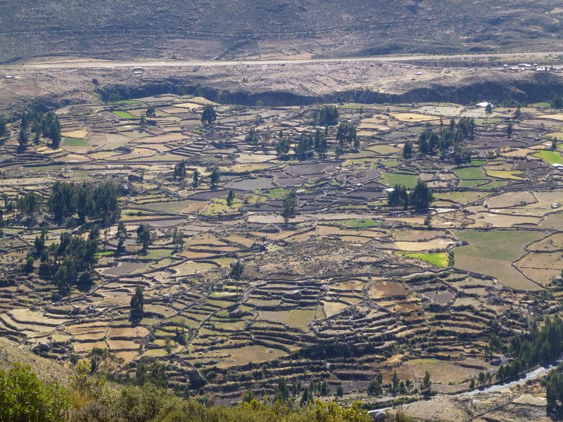 Inca terracing 