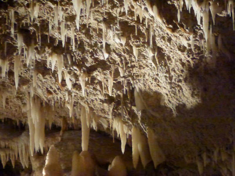 Barbados Harrisons Cave