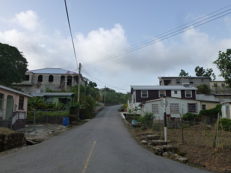 Barbados Wilson Hill 3