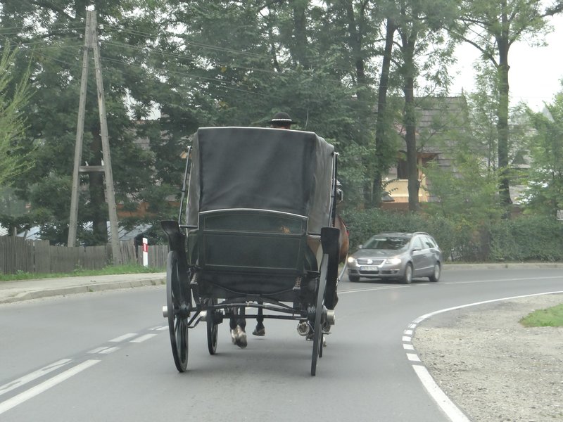 Zakopane Following a horse drawn buggy on the main road. 