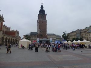 Krakow main square with dog show