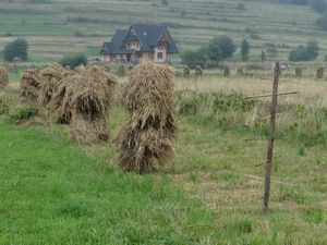 Zakopane hay stacks near Zakopane
