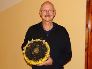 Krakow sunflower snack