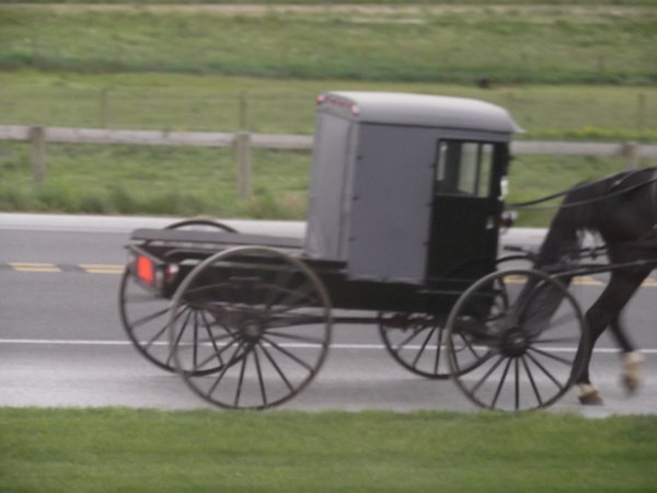 Amish horse and cart