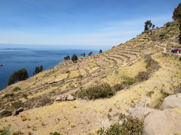 Terraced Hills of Taquile