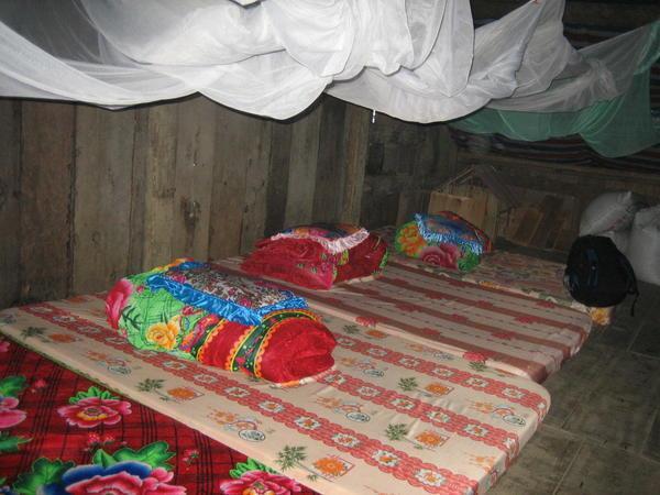Homestay beds