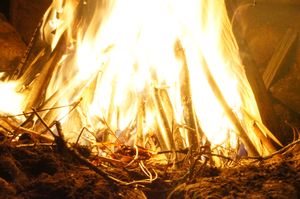 dry wood burns