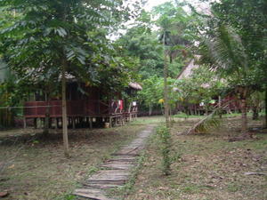 Lodge at Boca Manu