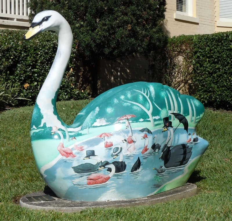 Swans (10) (1024x977)