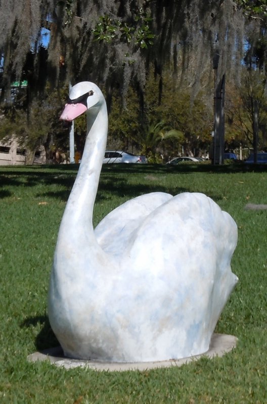Swans (15) (676x1024)