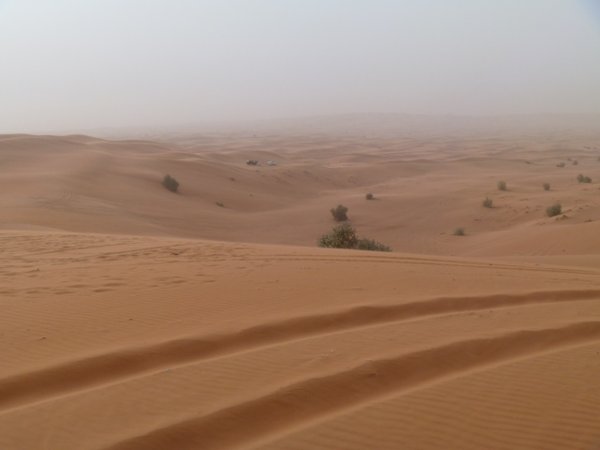 Dune bashing 
