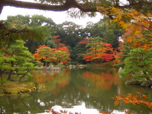 I have to say untill I came here I thought all photos of japan were ultra foto shopped, how wong I was.
