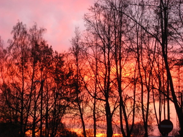Estonian Sunrise
