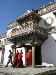 Llamas entering monastery