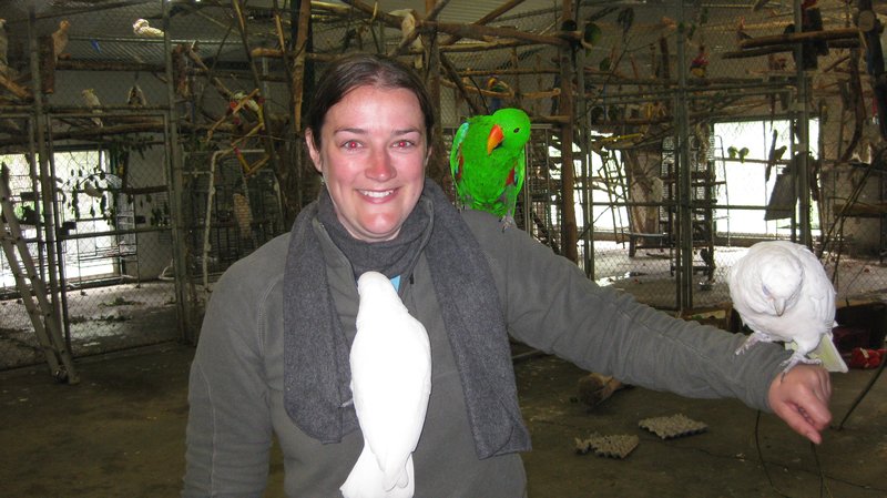 A typical moment at the World Parrot Refuge