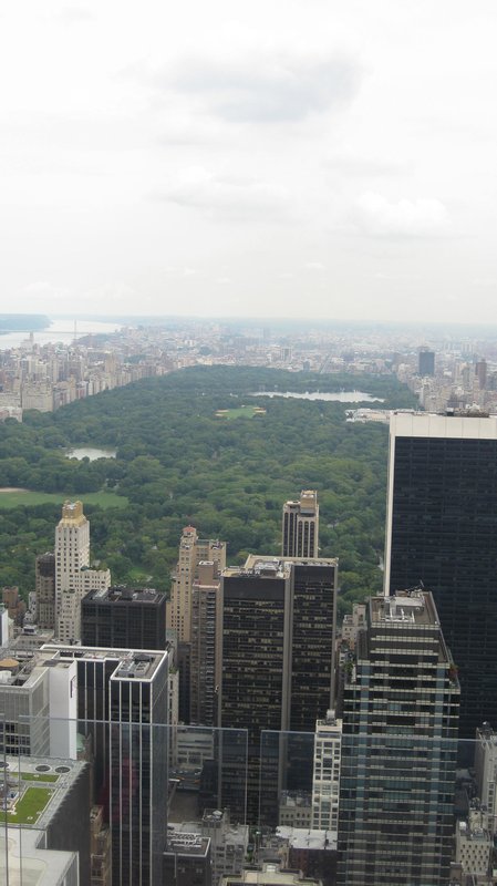 How huge Central Park is from above
