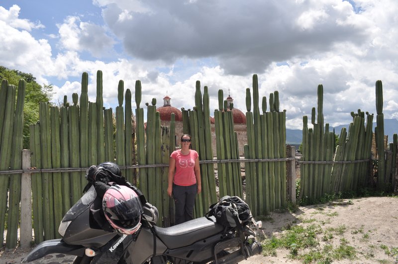 Cactus fence at Mitla