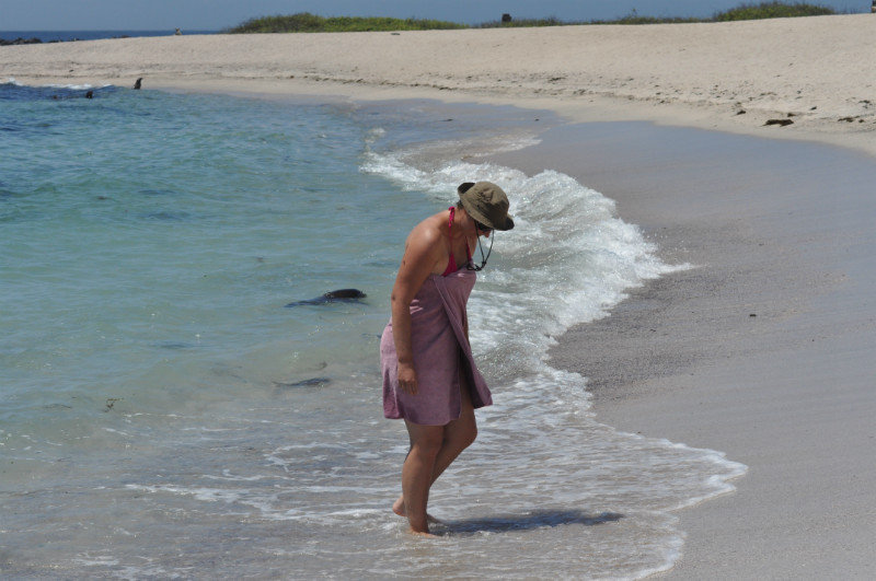 Snorkelling beach - La Loberia