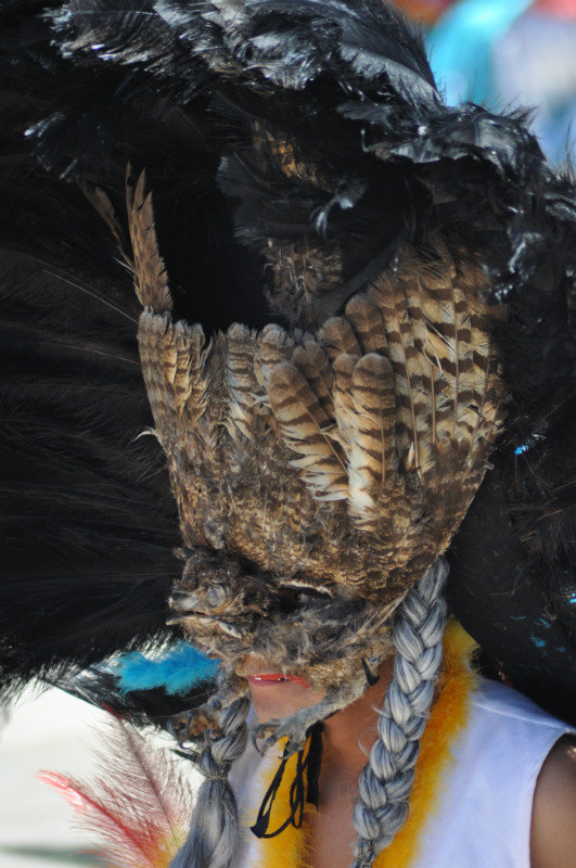 Carnaval is a good excuse to strap a dead owl on your face