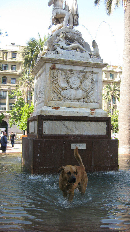 Santiago's Plaza de Armas fountain and our guard dog