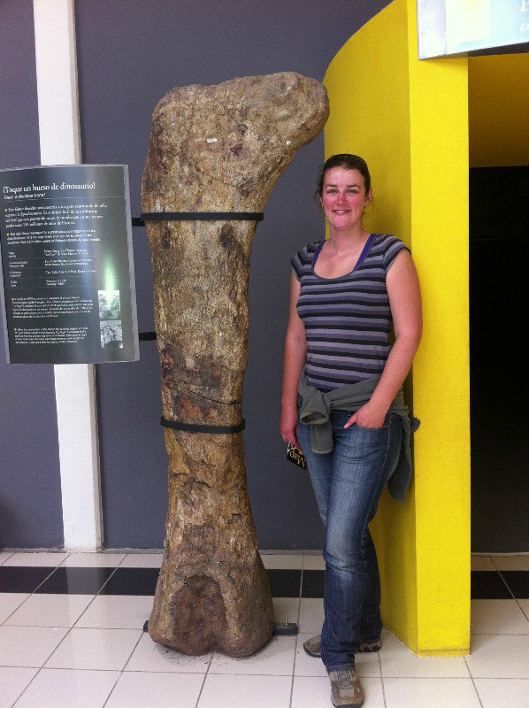 A real dinosaur femur bone bigger than Kenz