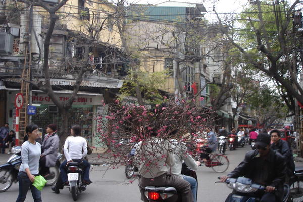 The streets of Hanoi