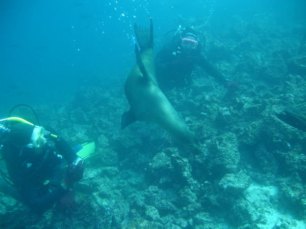 Gregor, Becky and a sea lion