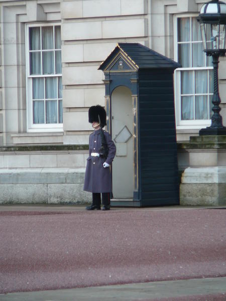 Buckingham Palace - Guard