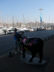 Marseille - Todd taking the bull by the horns