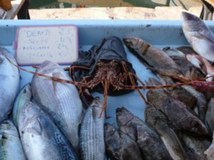 Marseille - Fish market2