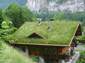 Lauterbrunnen - Grass roof house