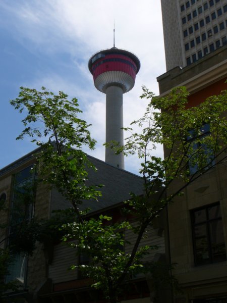 Calgary Tower (1)