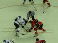 Ice Hockey - Calgary Flames v LA Kings