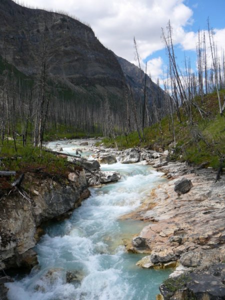 Kootenay National Park (12)