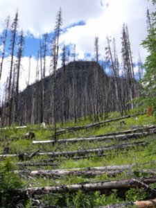 Kootenay National Park (5)