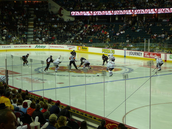 Calgary Hitmen Ice Hockey Game