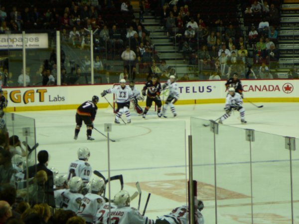 Calgary Hitmen Ice Hockey Game (54)