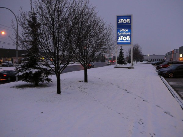 Calgary Winter - Walk to work (1)