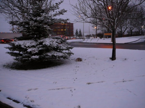 Calgary Winter - Walk to work