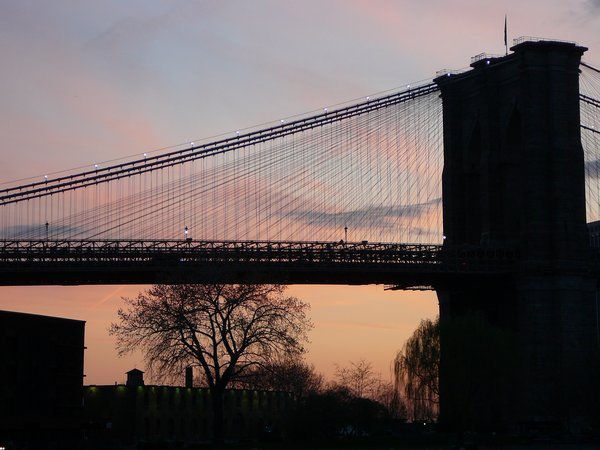 New York - Brooklyn Bridge (8)