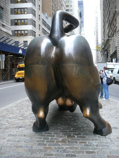 New York - Wall Street Bull (3)