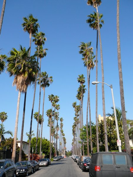 Los Angeles050
