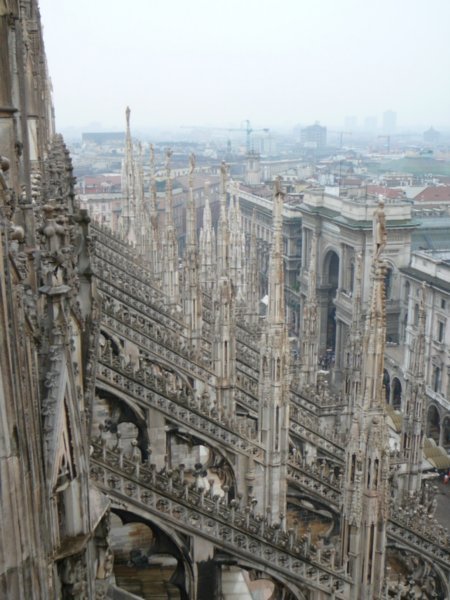Milan Duomo (21)