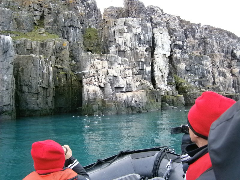 Alkerfjellet bird cliffs