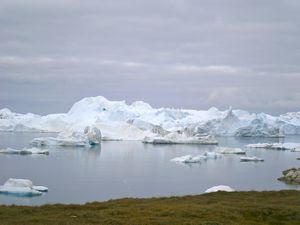 Icebergs off Rodebay